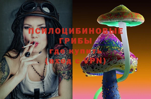марки lsd Абаза