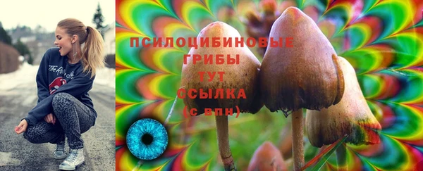 марки lsd Абаза