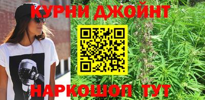 гашик Владивосток