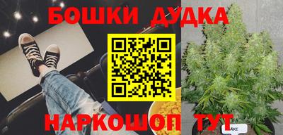 гашик Владивосток