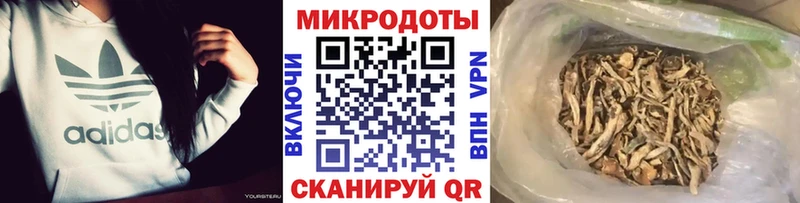 Псилоцибиновые грибы Cubensis  Шебекино 