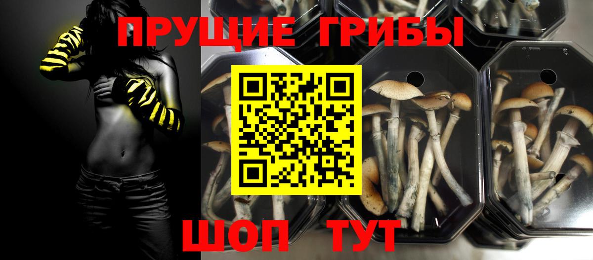 Галлюциногенные грибы MAGIC MUSHROOMS  хочу наркоту  Шебекино  Псилоцибиновые грибы Magic Shrooms  Вход с VPN 