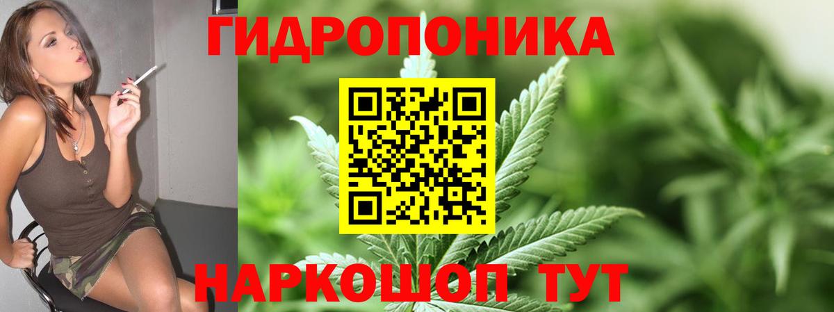 Шишки марихуана марихуана  Шишки марихуана White Widow  Каннабис тримм  Шебекино  Каннабис LSD WEED  Вход с VPN 